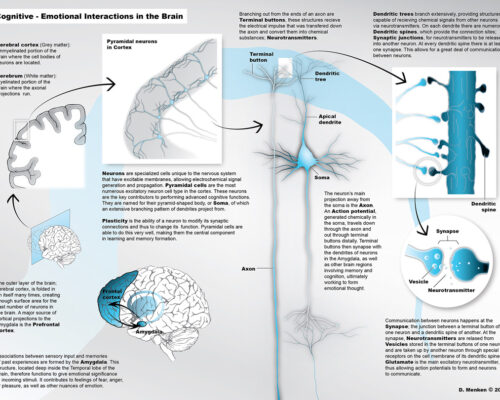 Designer BioMed - Multilevel Brain Interactions Illustration Designer BioMed - Multilevel Brain Interactions Illustration