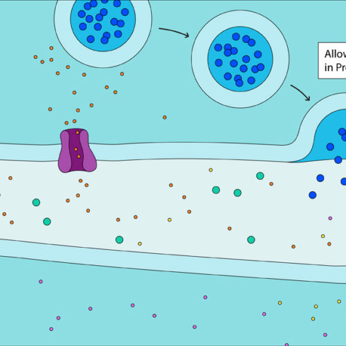 Designer Biomed - GPCR Diagram Inactive Designer Biomed - GPCR Diagram Inactive