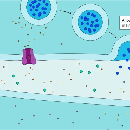 dmenken-designer-biomed-gpcr-diagram-2 (WebP) Dmenken designer biomed gpcr diagram 2 (WebP)