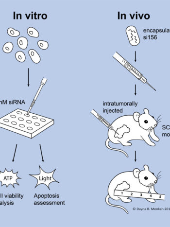 Designer BioMed – Biomedical Imagery & Animation