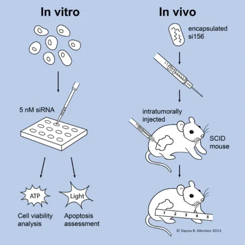 dmenken-designer-biomed-pkm2-poster-assay-illustration (WebP) Dmenken designer biomed pkm2 poster assay illustration (WebP)