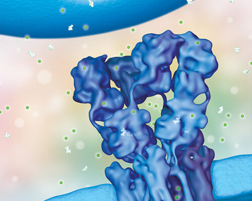 Designer BioMed - Glutamate Release 3D Render Designer BioMed - Glutamate Release 3D Render
