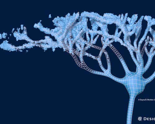 neuron-reconstruction