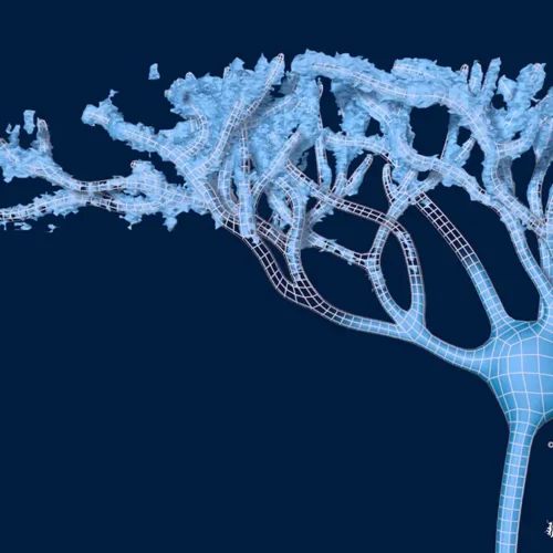 neuron-reconstruction