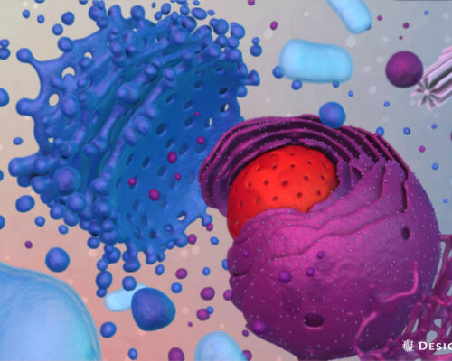 designer-biomed-organelles-3d-animation-still organelles