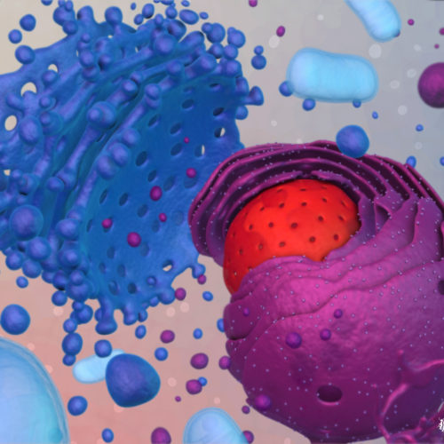 designer-biomed-organelles-3d-animation-still organelles