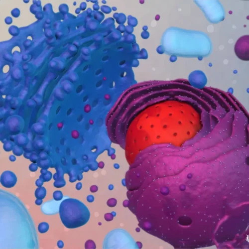 designer-biomed-organelle-3d-animation-still (WebP) organelles