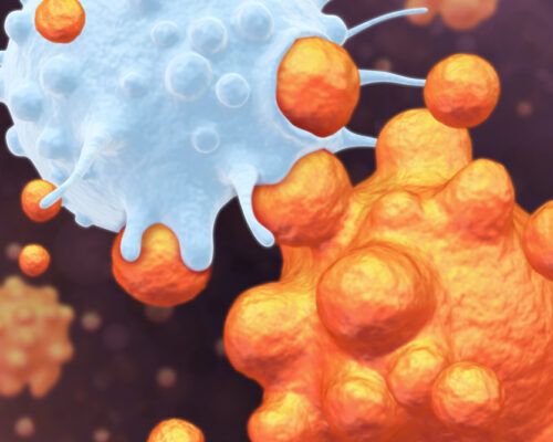 Designer BioMed 3D Render Apoptosis