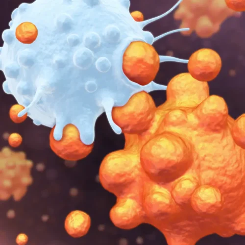 Designer biomed 2020 page web 1 (WebP)