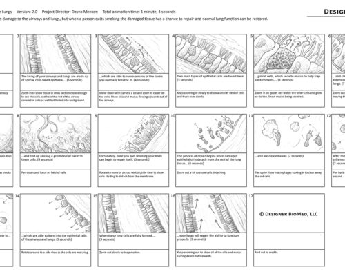 Designer BioMed – Cellular Regeneration of the Lungs Storyboards Designer BioMed – Cellular Regeneration of the Lungs Storyboards