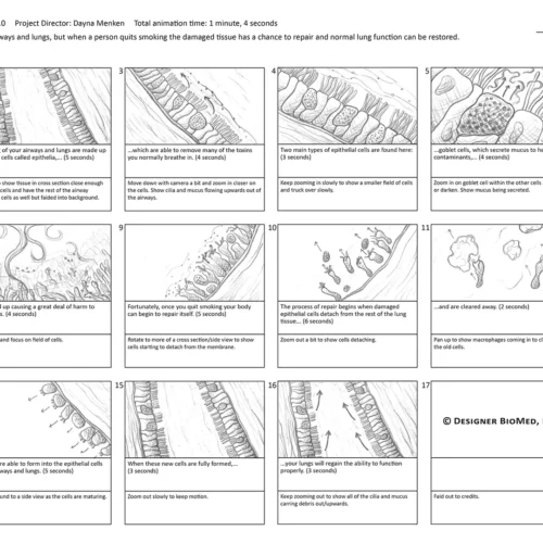 dmenken-designer-biomed-lung-regen-anim-sbs-one-page-spread (WebP) Dmenken designer biomed lung regen anim sbs one page spread (WebP)