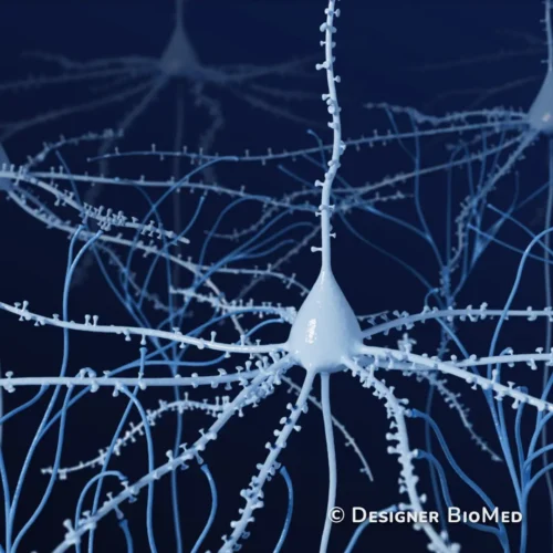 neuron-zoom